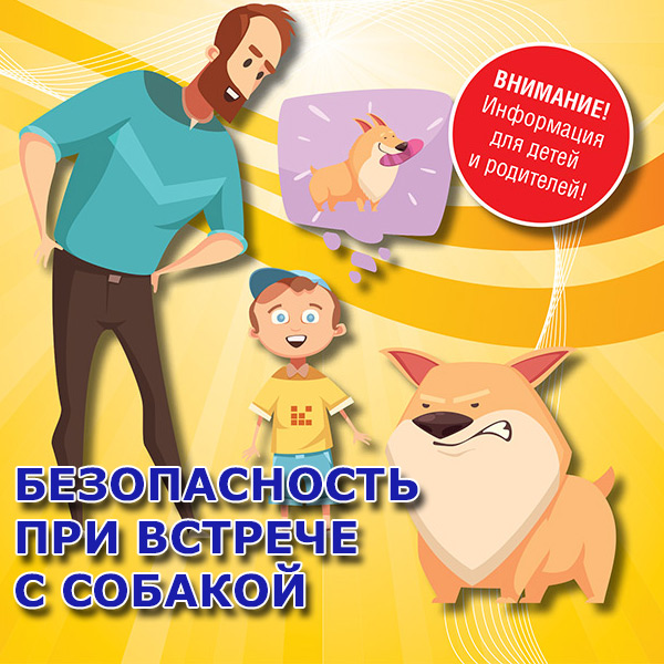 Правила поведения человека при встрече с собакой.